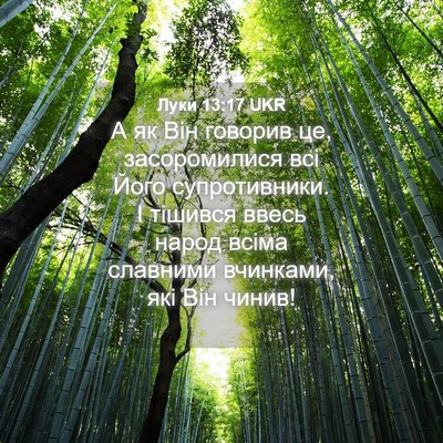 Picture 04 - Луки 13:17 UKR - А як Він говорив це, - Bible Verse Picture