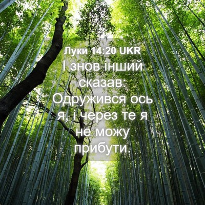 Picture 04 - Луки 14:20 UKR - І знов інший сказав: - Bible Verse Picture
