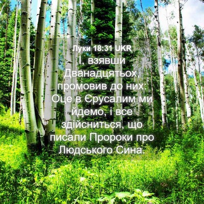 Picture 04 - Луки 18:31 UKR - І, взявши Дванадцятьох, - Bible Verse Picture