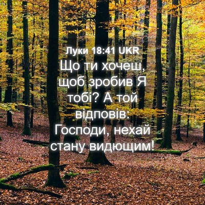 Picture 04 - Луки 18:41 UKR - Що ти хочеш, щоб зробив Я - Bible Verse Picture