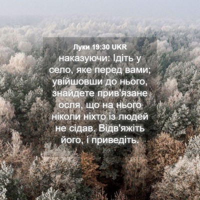 Picture 04 - Луки 19:30 UKR - наказуючи: Ідіть у село, - Bible Verse Picture