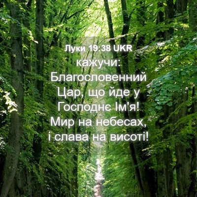 Picture 04 - Луки 19:38 UKR - кажучи: Благословенний - Bible Verse Picture