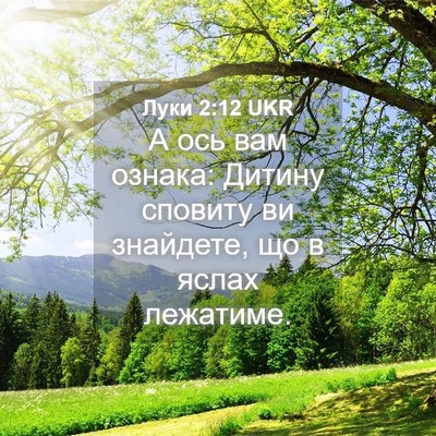 Picture 04 - Луки 2:12 UKR - А ось вам ознака: Дитину - Bible Verse Picture