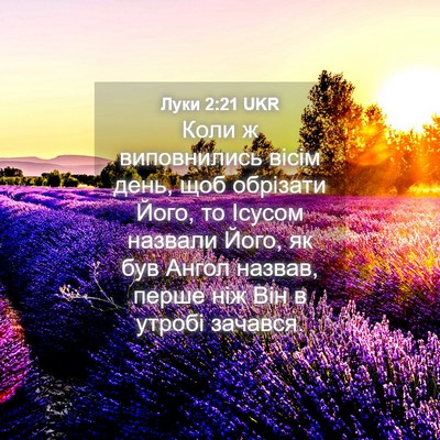 Picture 04 - Луки 2:21 UKR - Коли ж виповнились вісім - Bible Verse Picture