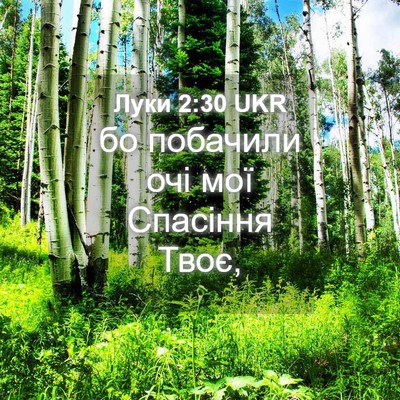 Picture 04 - Луки 2:30 UKR - бо побачили очі мої - Bible Verse Picture