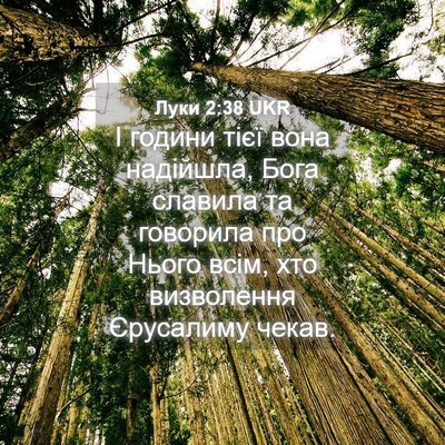 Picture 04 - Луки 2:38 UKR - І години тієї вона - Bible Verse Picture