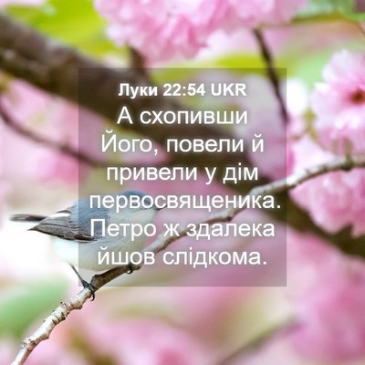 Picture 04 - Луки 22:54 UKR - А схопивши Його, повели й - Bible Verse Picture