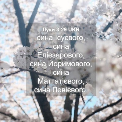 Picture 04 - Луки 3:29 UKR - сина Ісуєвого, сина - Bible Verse Picture