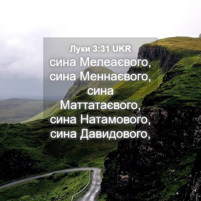 Picture 04 - Луки 3:31 UKR - сина Мелеаєвого, сина - Bible Verse Picture
