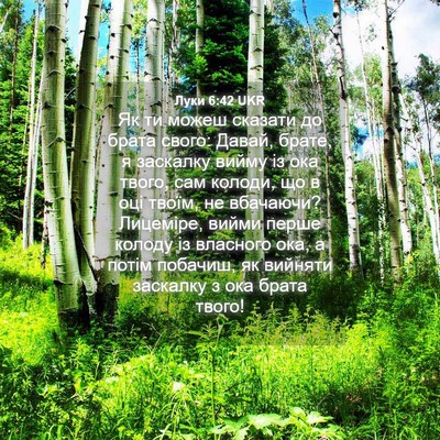 Picture 04 - Луки 6:42 UKR - Як ти можеш сказати до - Bible Verse Picture