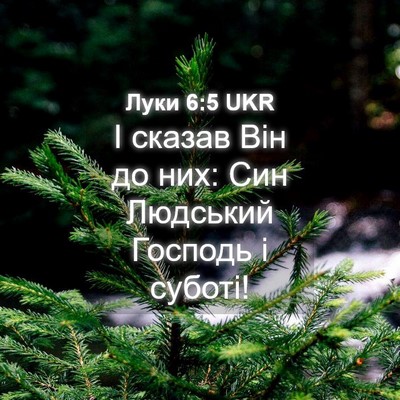 Picture 04 - Луки 6:5 UKR - І сказав Він до них: Син - Bible Verse Picture