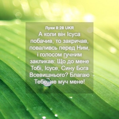 Picture 04 - Луки 8:28 UKR - А коли він Ісуса побачив, - Bible Verse Picture
