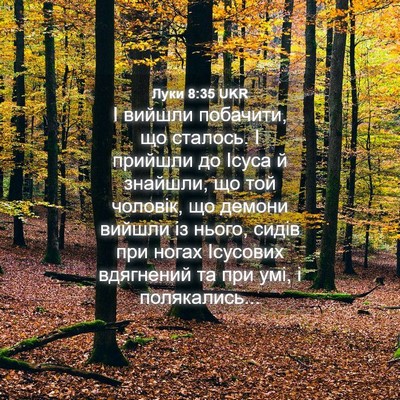 Picture 04 - Луки 8:35 UKR - І вийшли побачити, що - Bible Verse Picture