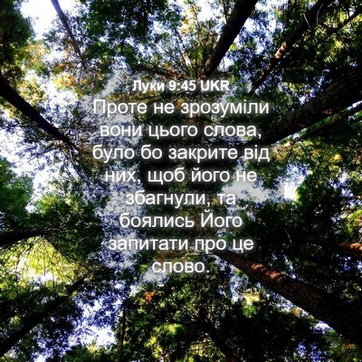 Picture 04 - Луки 9:45 UKR - Проте не зрозуміли вони - Bible Verse Picture
