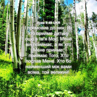 Picture 04 - Луки 9:48 UKR - І промовив до них: Як хто - Bible Verse Picture