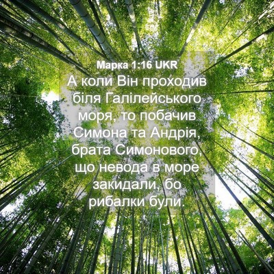 Picture 04 - Марка 1:16 UKR - А коли Він проходив біля - Bible Verse Picture