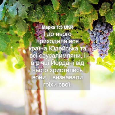 Picture 04 - Марка 1:5 UKR - І до нього приходила вся - Bible Verse Picture