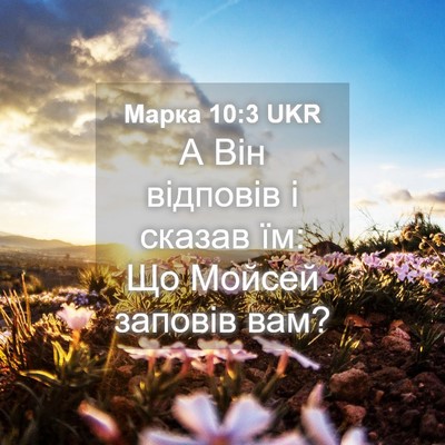 Picture 04 - Марка 10:3 UKR - А Він відповів і сказав їм: - Bible Verse Picture