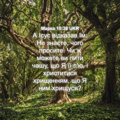 Picture 04 - Марка 10:38 UKR - А Ісус відказав їм: Не - Bible Verse Picture