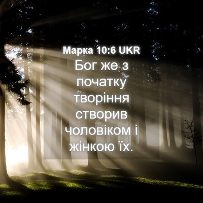 Picture 04 - Марка 10:6 UKR - Бог же з початку творіння - Bible Verse Picture