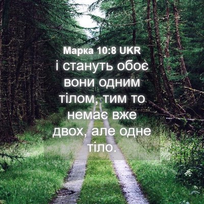 Picture 04 - Марка 10:8 UKR - і стануть обоє вони одним - Bible Verse Picture