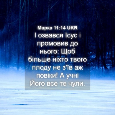 Picture 04 - Марка 11:14 UKR - І озвався Ісус і промовив - Bible Verse Picture