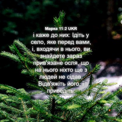 Picture 04 - Марка 11:2 UKR - і каже до них: Ідіть у село, - Bible Verse Picture