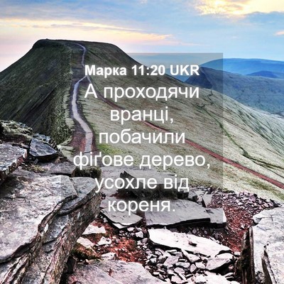 Picture 04 - Марка 11:20 UKR - А проходячи вранці, - Bible Verse Picture