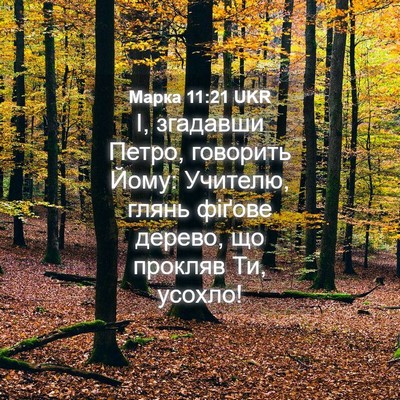 Picture 04 - Марка 11:21 UKR - І, згадавши Петро, говорить - Bible Verse Picture