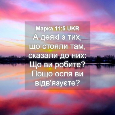 Picture 04 - Марка 11:5 UKR - А деякі з тих, що стояли - Bible Verse Picture