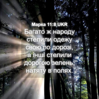 Picture 04 - Марка 11:8 UKR - Багато ж народу стелили - Bible Verse Picture