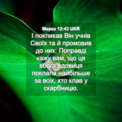 Picture 04 - Марка 12:43 UKR - І покликав Він учнів Своїх - Bible Verse Picture