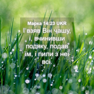 Picture 04 - Марка 14:23 UKR - І взяв Він чашу, і, вчинивши - Bible Verse Picture