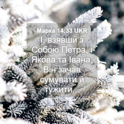Picture 04 - Марка 14:33 UKR - І, взявши з Собою Петра, і - Bible Verse Picture