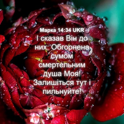 Picture 04 - Марка 14:34 UKR - І сказав Він до них: - Bible Verse Picture