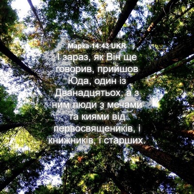 Picture 04 - Марка 14:43 UKR - І зараз, як Він ще говорив, - Bible Verse Picture