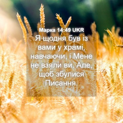Picture 04 - Марка 14:49 UKR - Я щодня був із вами у храмі, - Bible Verse Picture