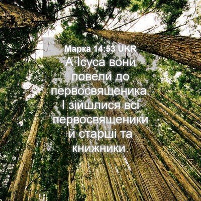 Picture 04 - Марка 14:53 UKR - А Ісуса вони повели до - Bible Verse Picture
