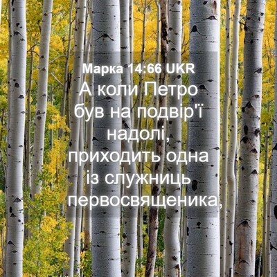 Picture 04 - Марка 14:66 UKR - А коли Петро був на - Bible Verse Picture