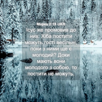 Picture 04 - Марка 2:19 UKR - Ісус же промовив до них: - Bible Verse Picture
