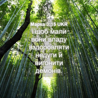 Picture 04 - Марка 3:15 UKR - і щоб мали вони владу - Bible Verse Picture