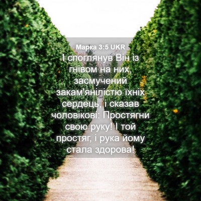 Picture 04 - Марка 3:5 UKR - І споглянув Він із гнівом - Bible Verse Picture