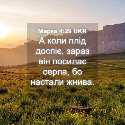 Picture 04 - Марка 4:29 UKR - А коли плід доспіє, зараз - Bible Verse Picture