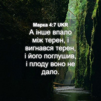 Picture 04 - Марка 4:7 UKR - А інше впало між терен, і - Bible Verse Picture