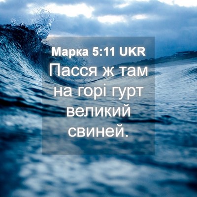 Picture 04 - Марка 5:11 UKR - Пасся ж там на горі гурт - Bible Verse Picture