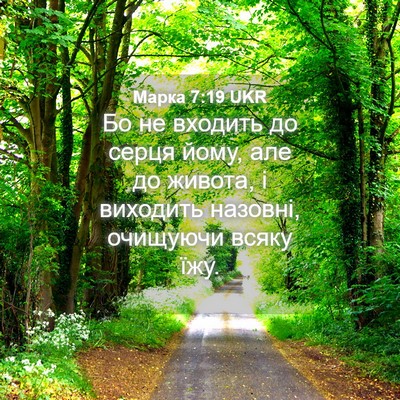 Picture 04 - Марка 7:19 UKR - Бо не входить до серця - Bible Verse Picture