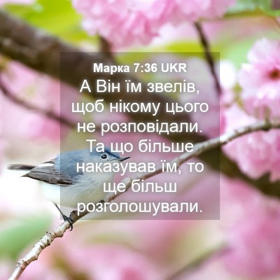 Picture 04 - Марка 7:36 UKR - А Він їм звелів, щоб нікому - Bible Verse Picture