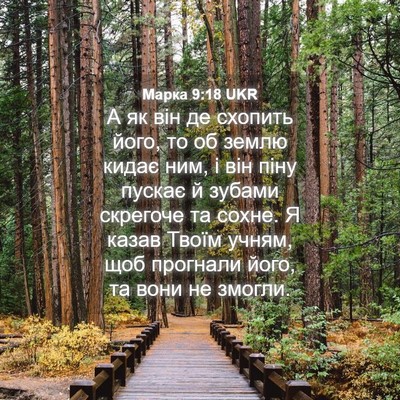 Picture 04 - Марка 9:18 UKR - А як він де схопить його, то - Bible Verse Picture
