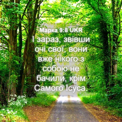 Picture 04 - Марка 9:8 UKR - І зараз, звівши очі свої, - Bible Verse Picture
