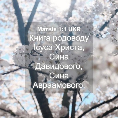 Picture 04 - Матвія 1:1 UKR - Книга родоводу Ісуса - Bible Verse Picture